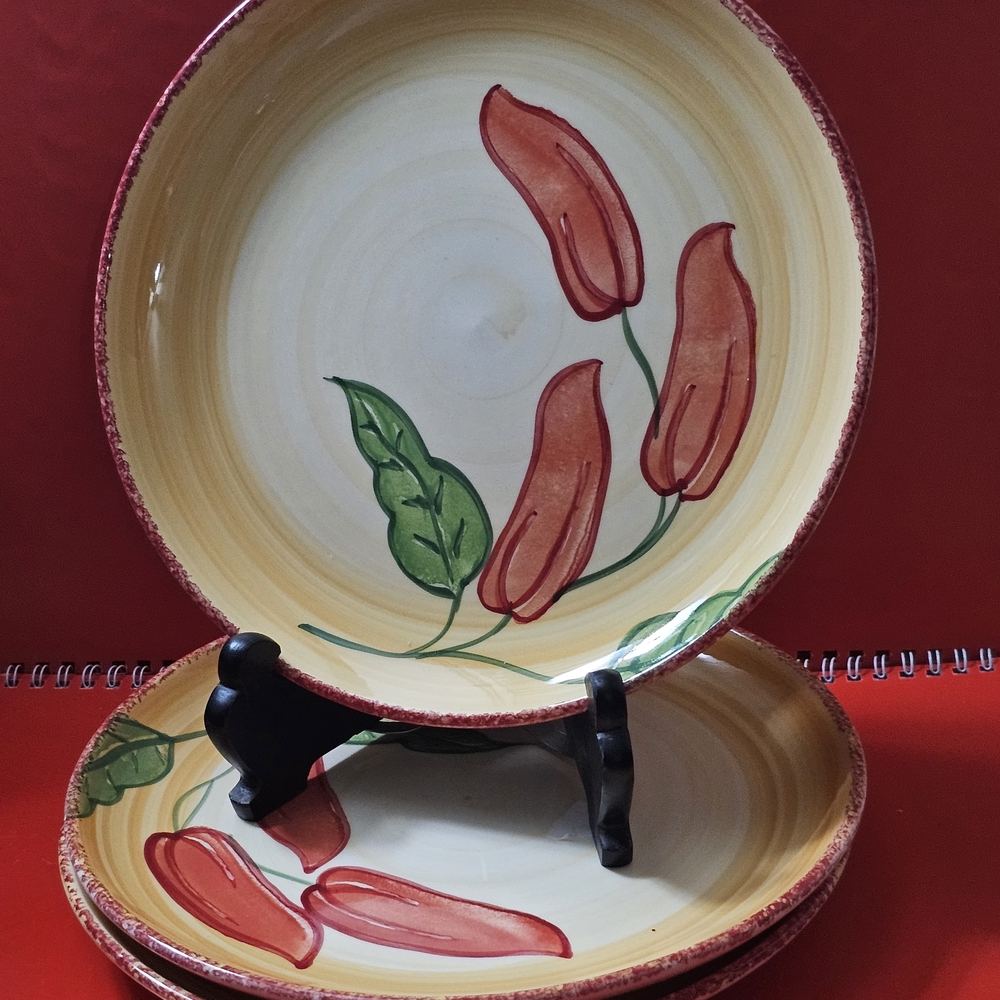 Set of 2 Harry and David Portugal Floral 9" stoneware dinnerware plate